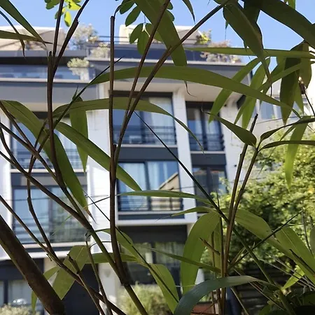Wilitton Bosphorus House * Istanbul